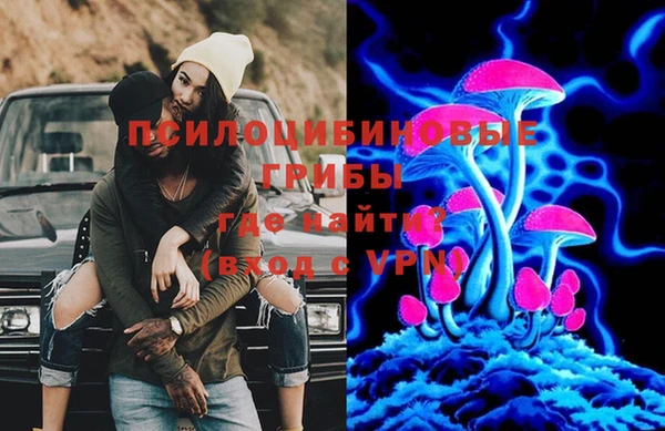a pvp Алексин