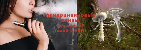 МДПВ Алзамай