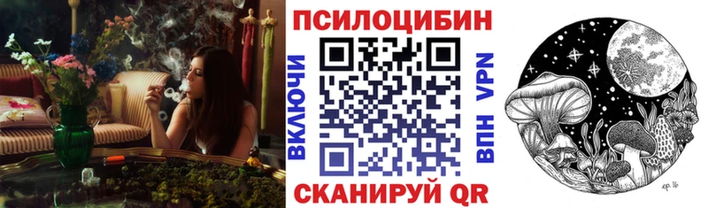 Галлюциногенные грибы Psilocybine cubensis Киров