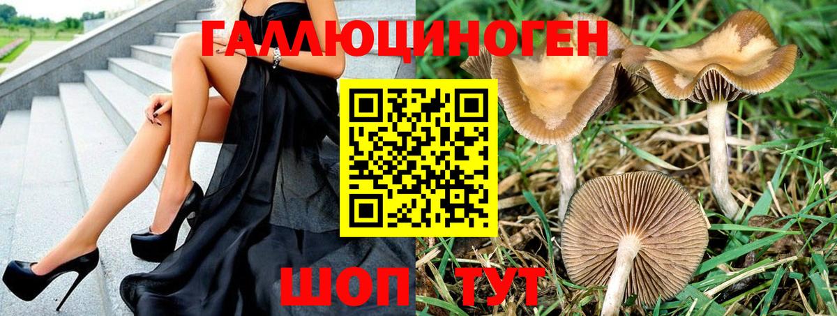Псилоцибиновые грибы Magic Shrooms Киров