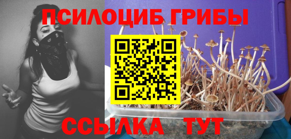 Киров  Галлюциногенные грибы мухоморы  Псилоцибиновые грибы мухоморы  Вход с VPN 