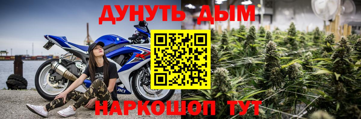Шишки марихуана конопля Киров